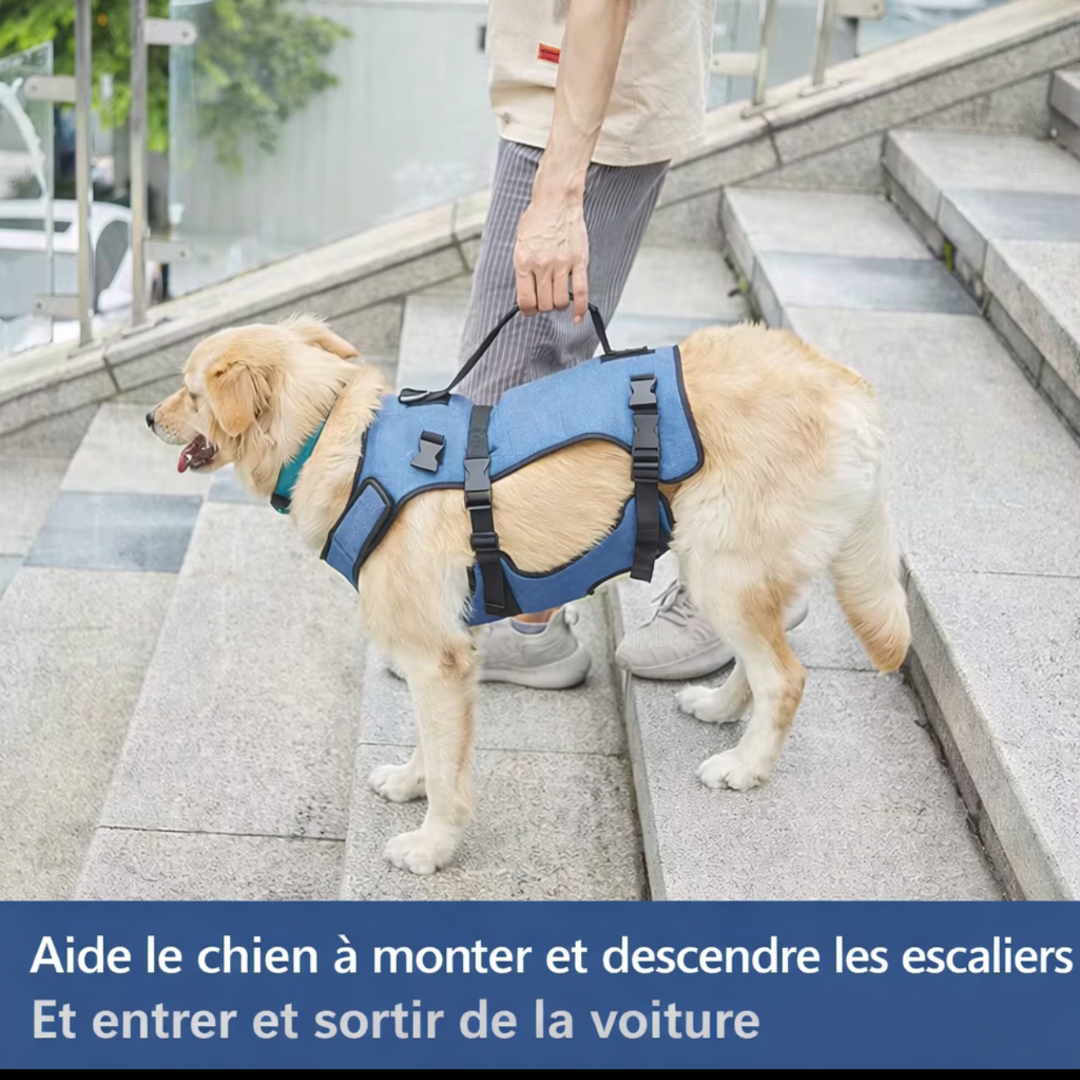 Harnais de Soutien Confort+