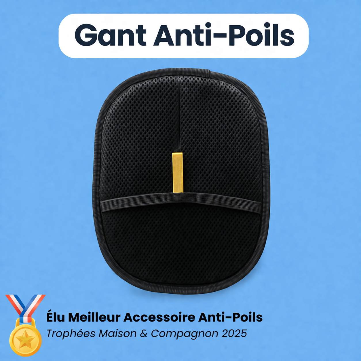 Gant Anti-poils